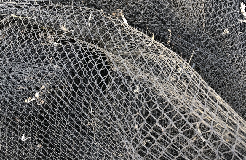 Bacton bird netting scandal